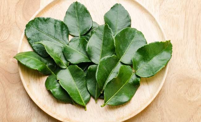 kaffir lime leaves substitutes