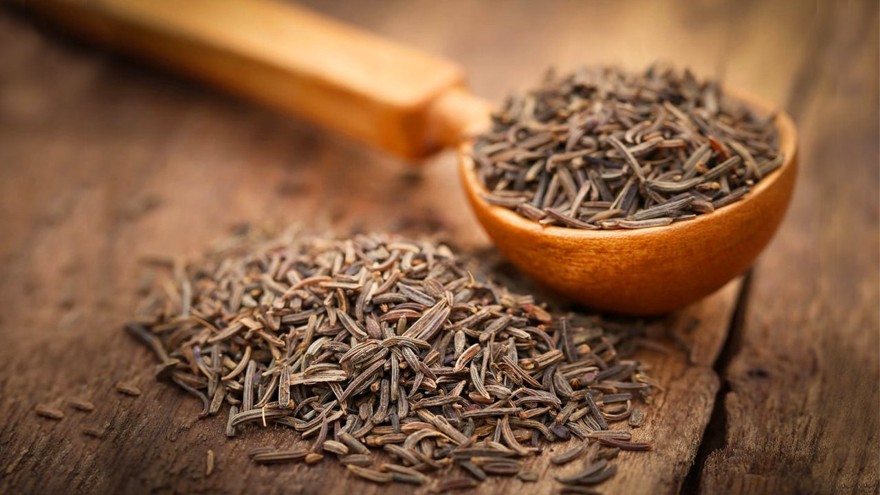 Mustard Seed Substitutes 5 Best Alternatives