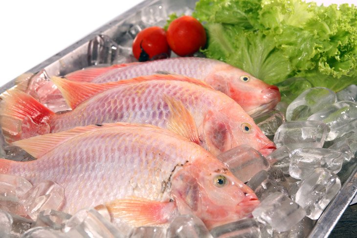 what does red snapper taste like
